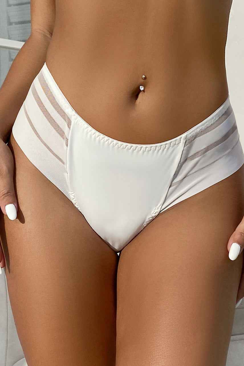 Plus Size Stripe Mesh Bikini Panty