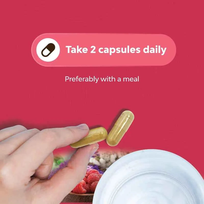 Angelica, Chasteberry & Black Cohosh Extracts, Complete Herbal Supplement for Women&