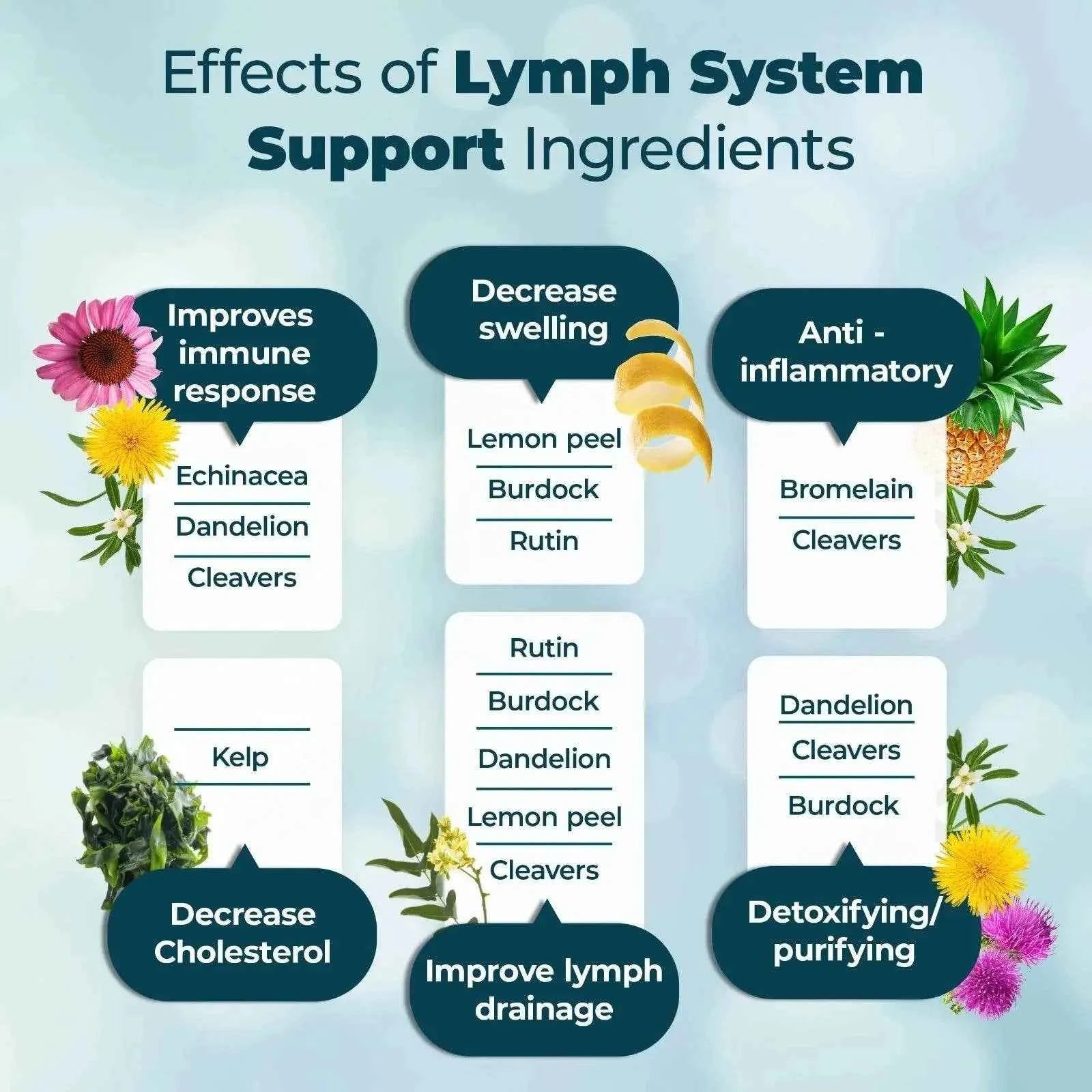 Lymphatic System Support Supplements - Lymphatic Support, Immunity, Skin and Digestion, Immune Support, Reduce Swelling