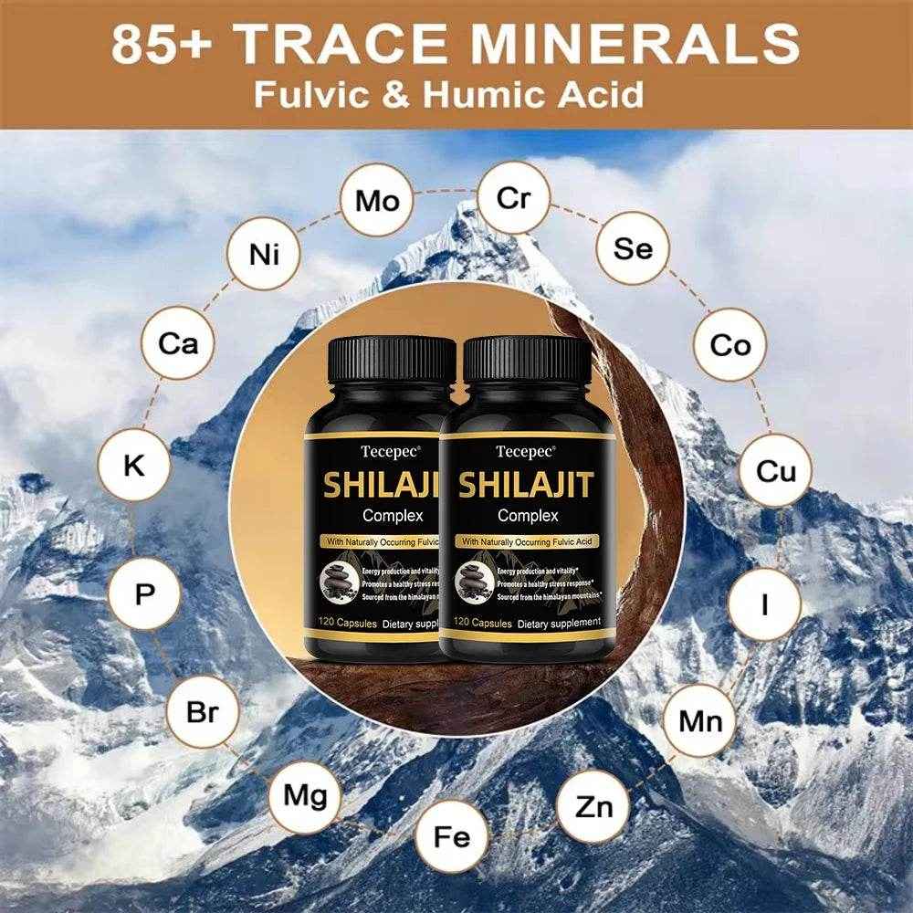 Shilajit Capsules - Rich in Trace Minerals, Natural Fulvic Acid, Helps Brain Thinking and Memory, Immunity, Metabolism