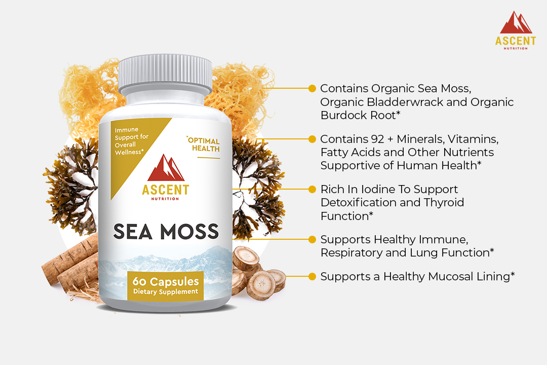 Organic Sea Moss, 60 Capsules, 500 mg by Ascent Nutrition