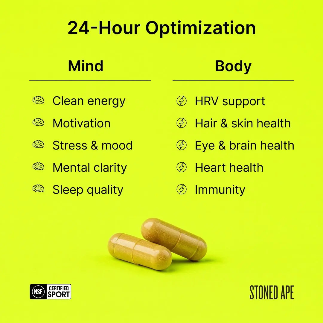Nootropack: Our Nootropic Bundle by Stoned Ape, Inc