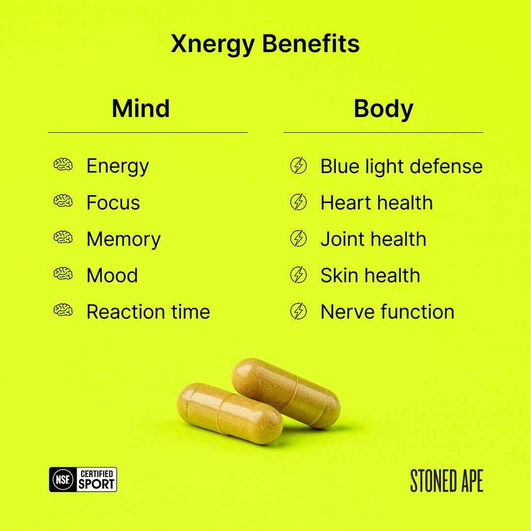 Xnergy: A.M. Nootropic for Calm Energy, Focus & Motivation