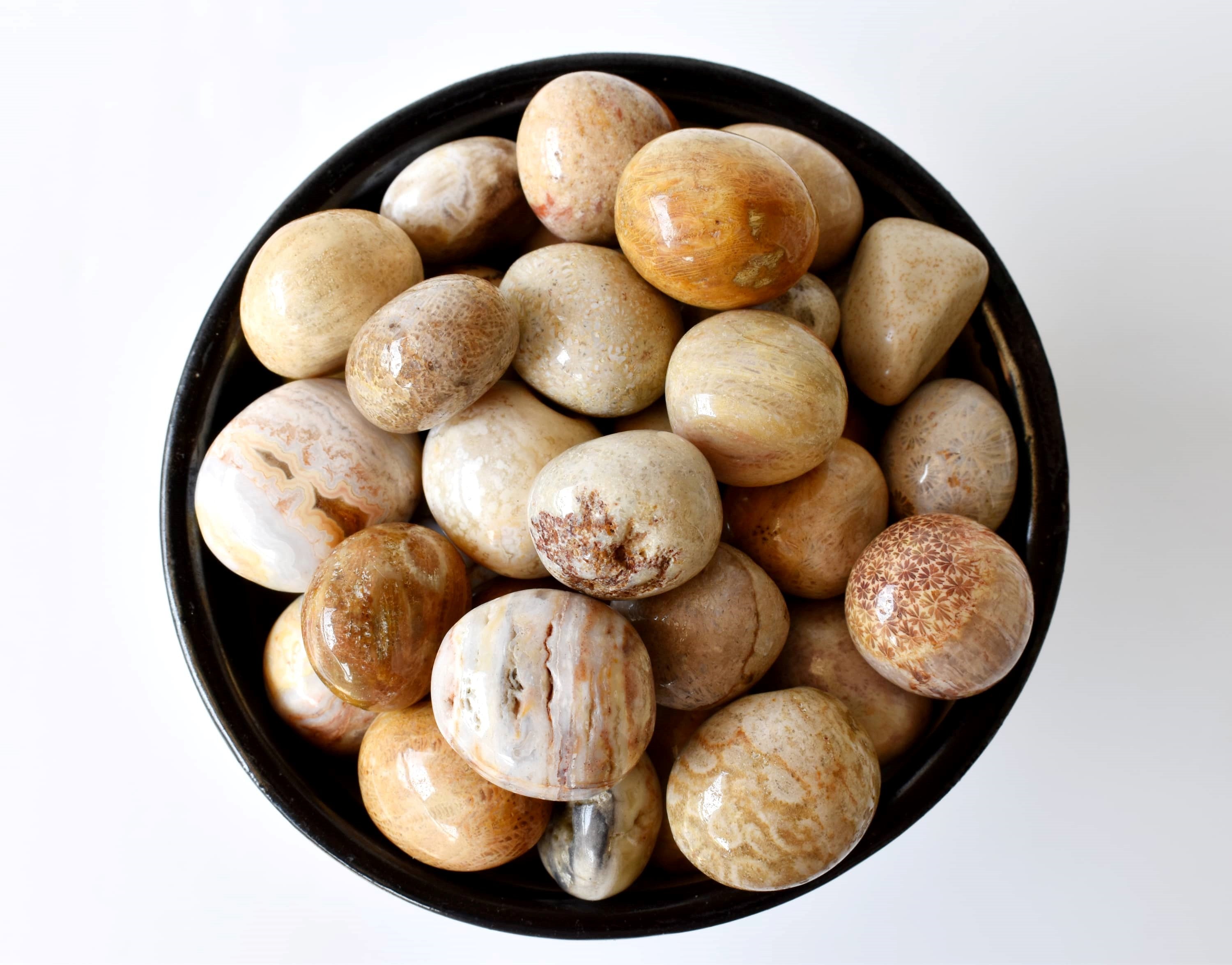 Fossil Coral Tumbled crystals (Grounding and longevity) DestGlow