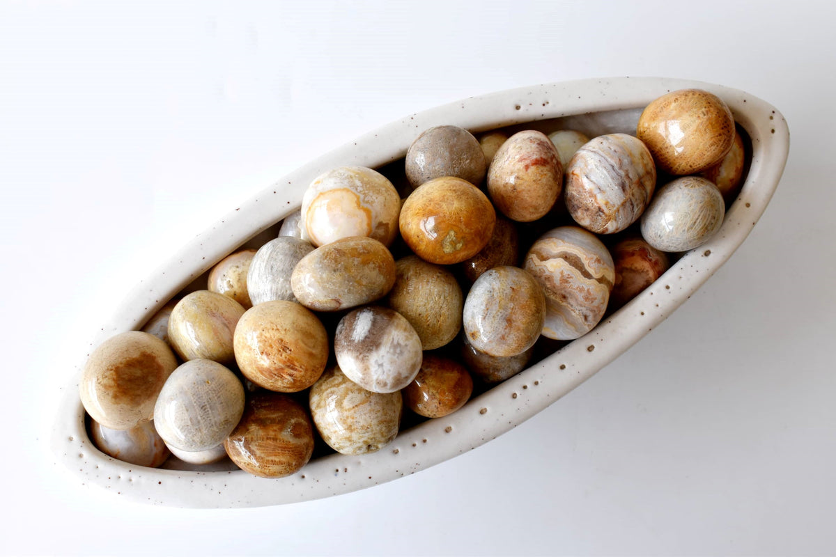 Fossil Coral Tumbled crystals (Grounding and longevity) DestGlow