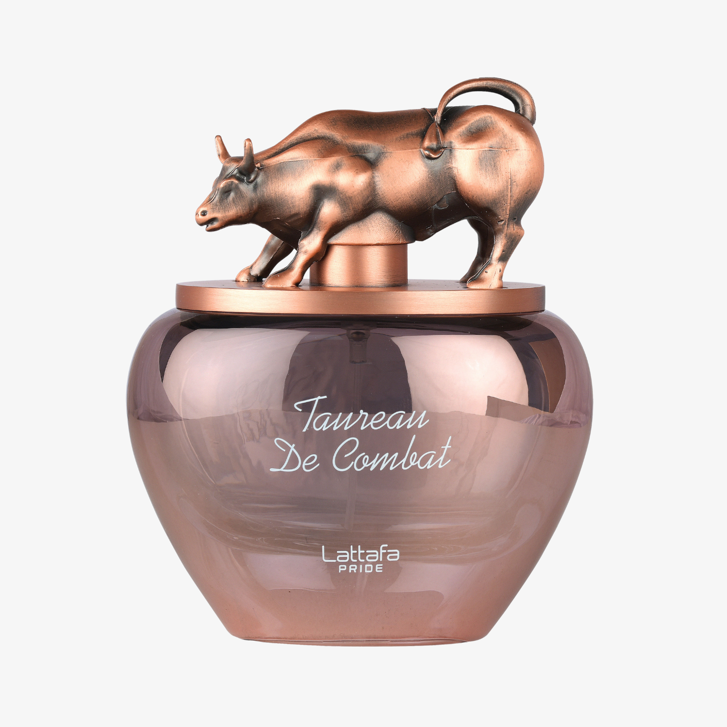Taureau De Combat DestGlow