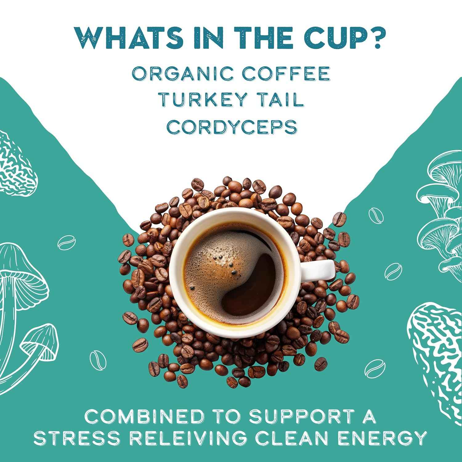 Turkey Tail & Cordyceps Mushroom Coffee Adaptogens Blend