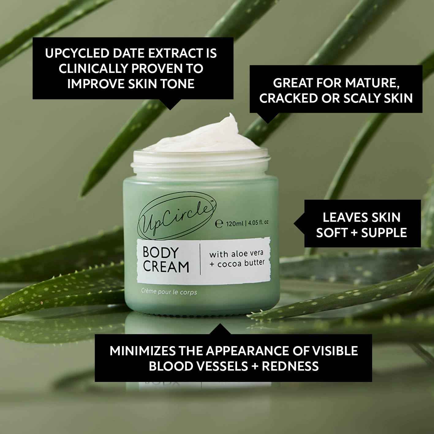 Natural Body Cream with Aloe Vera + Cocoa Butter