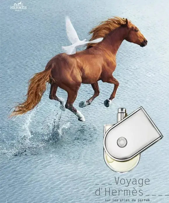 Voyage D&