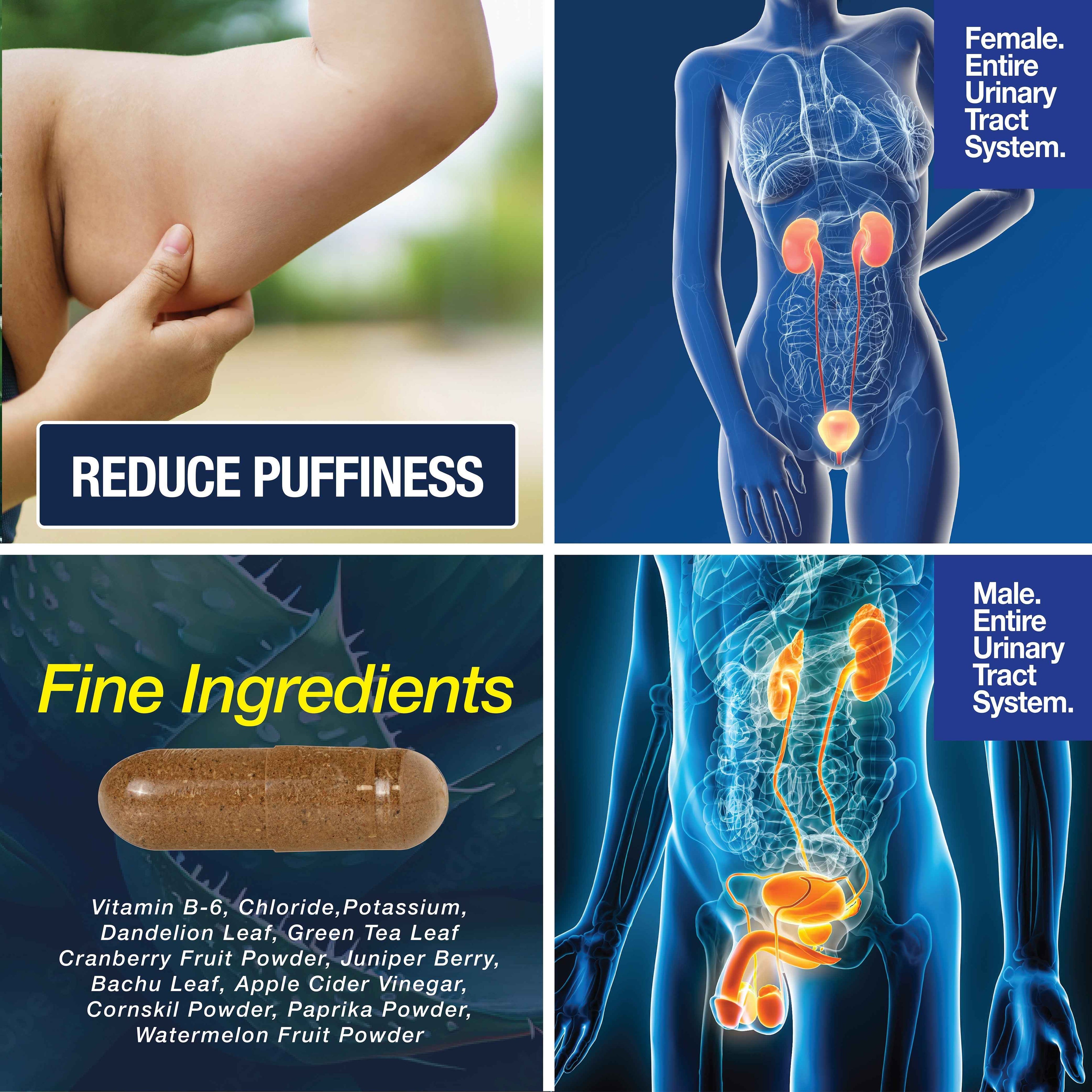 Water Away - Water Retention and Flushing, Aids in Water Relief & Water Loss by Saint Mingiano - Supplements & Wellness Dedicated to Holistic Health