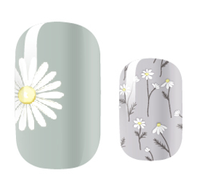 White Daisy Days