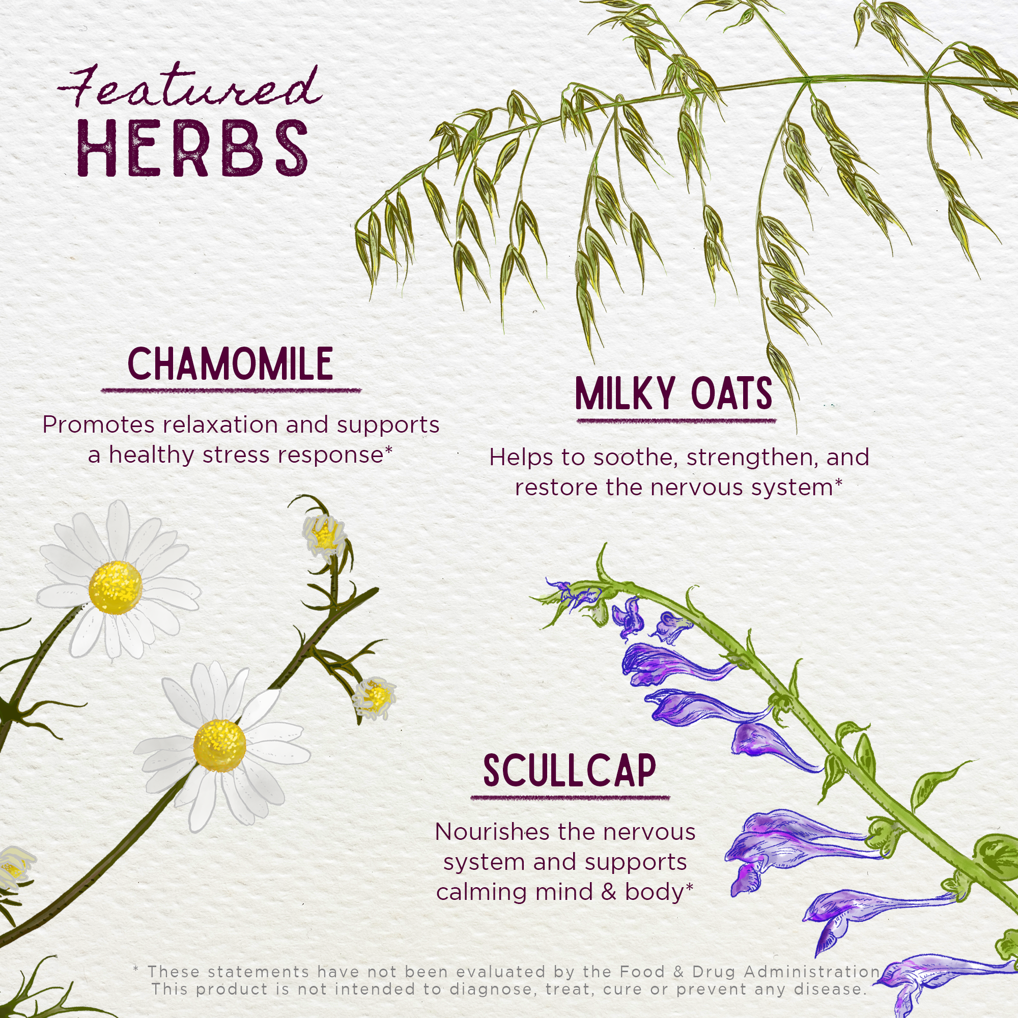 Sleepy Nights & Fresh Mornings for Pregnancy DestGlow