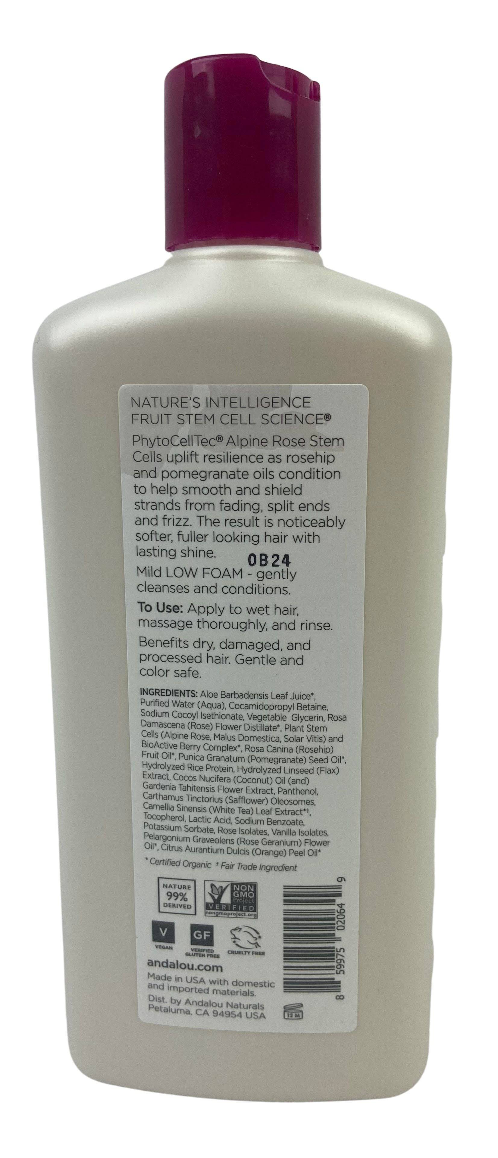 Shampoo, 1000 Roses, Andalou Naturals by Country Life Natural Foods