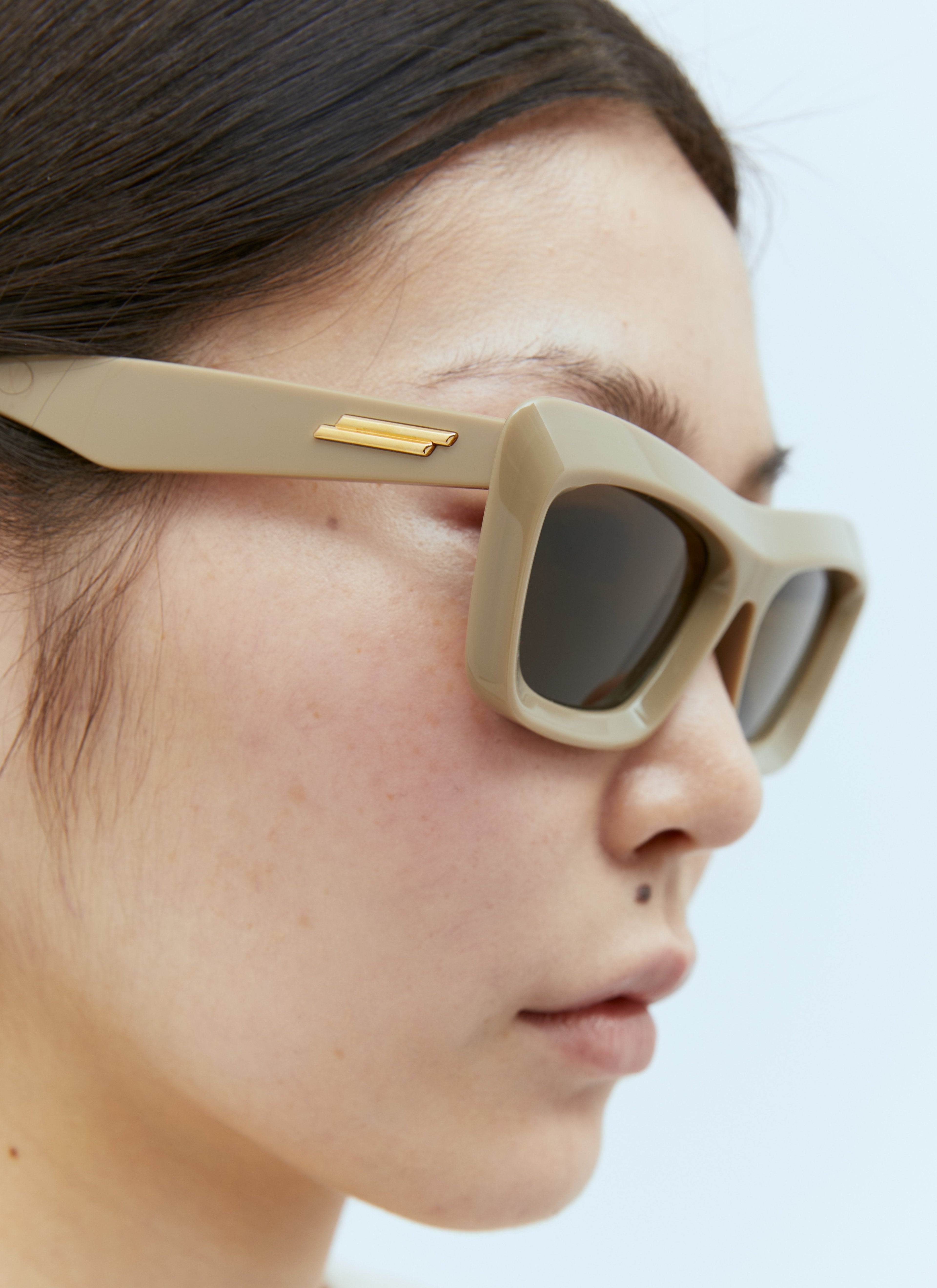Bottega Veneta Women Classic Cat Eye Sunglasses by Luosophy