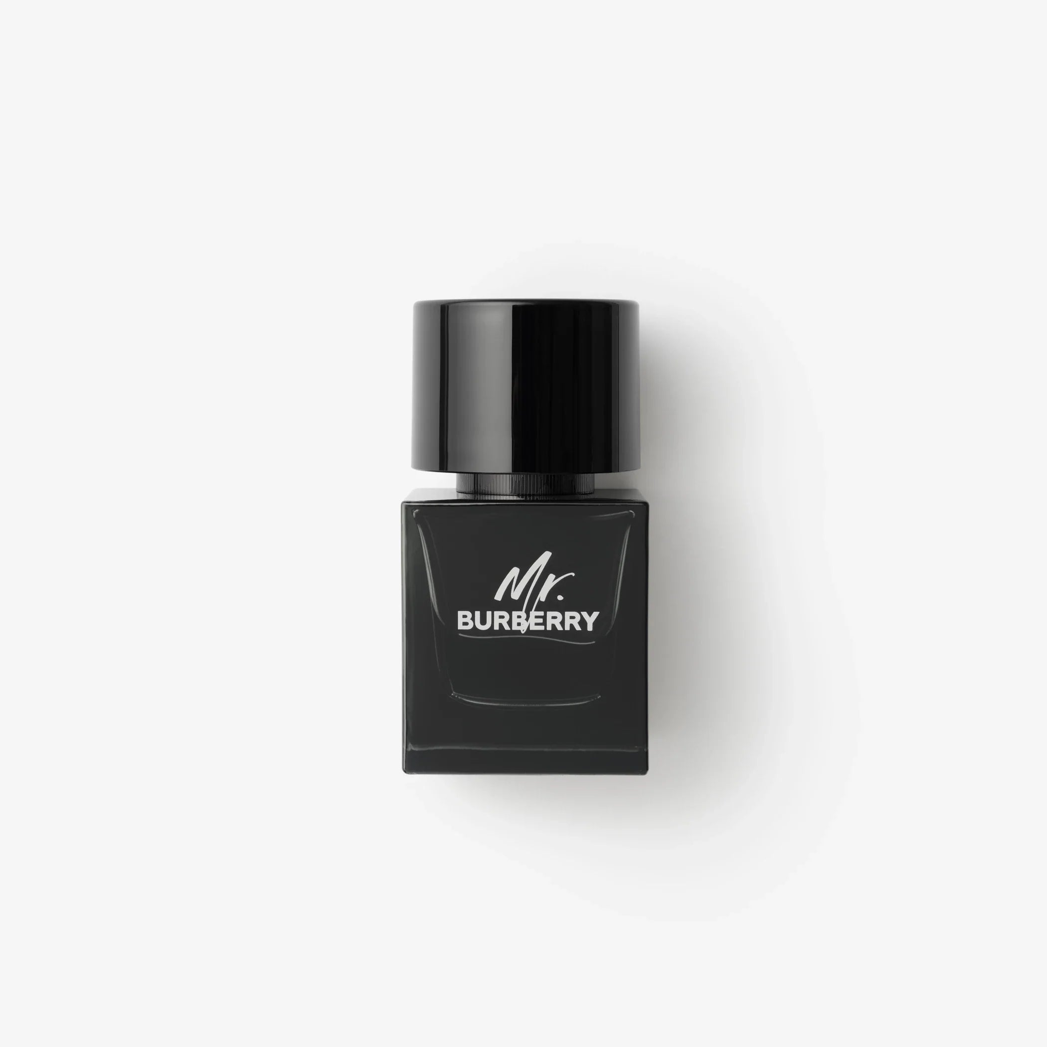 Burberry Mr. Burberry Eau de Parfum 1.6 OZ - DestGlow