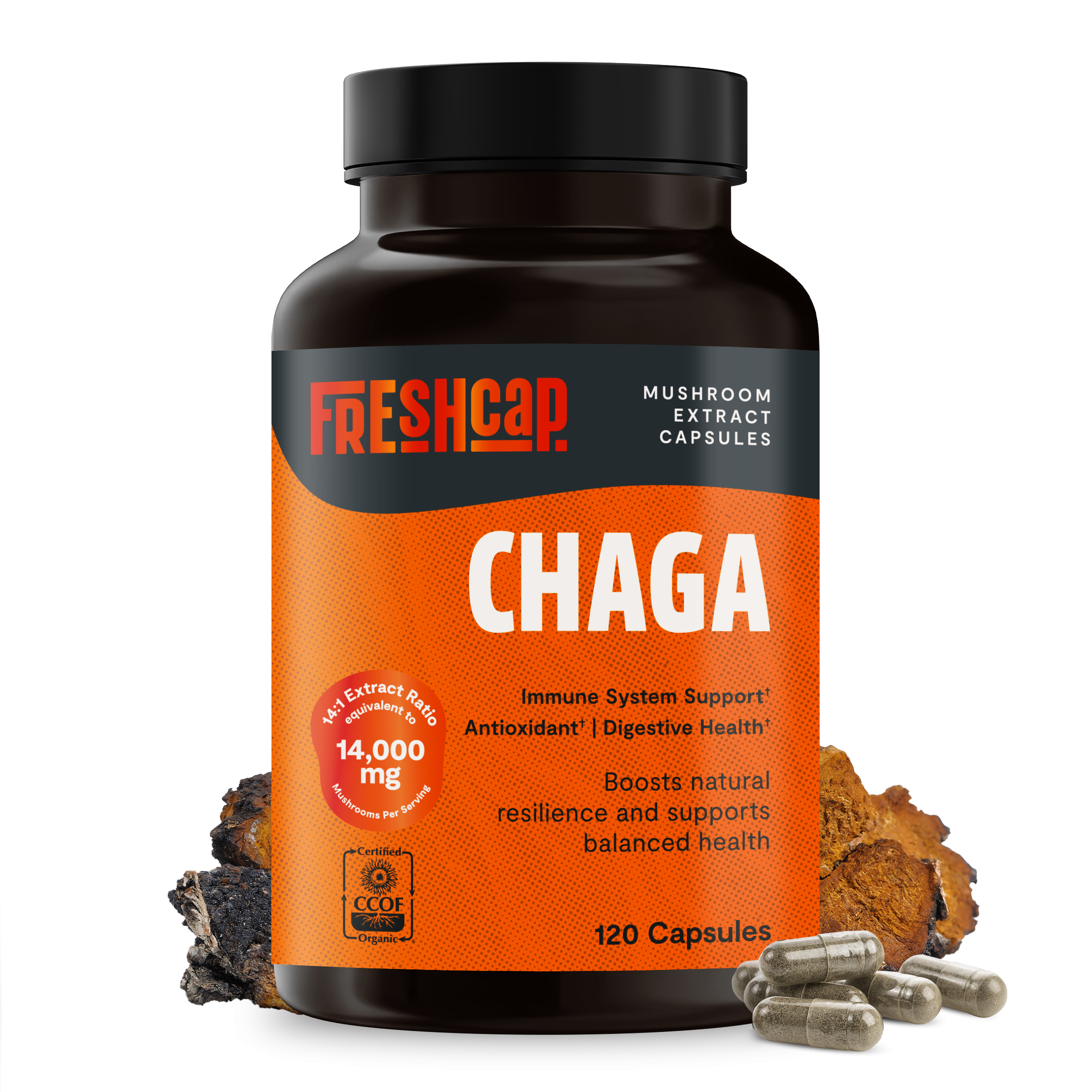 Chaga Mushroom Extract Capsules DestGlow