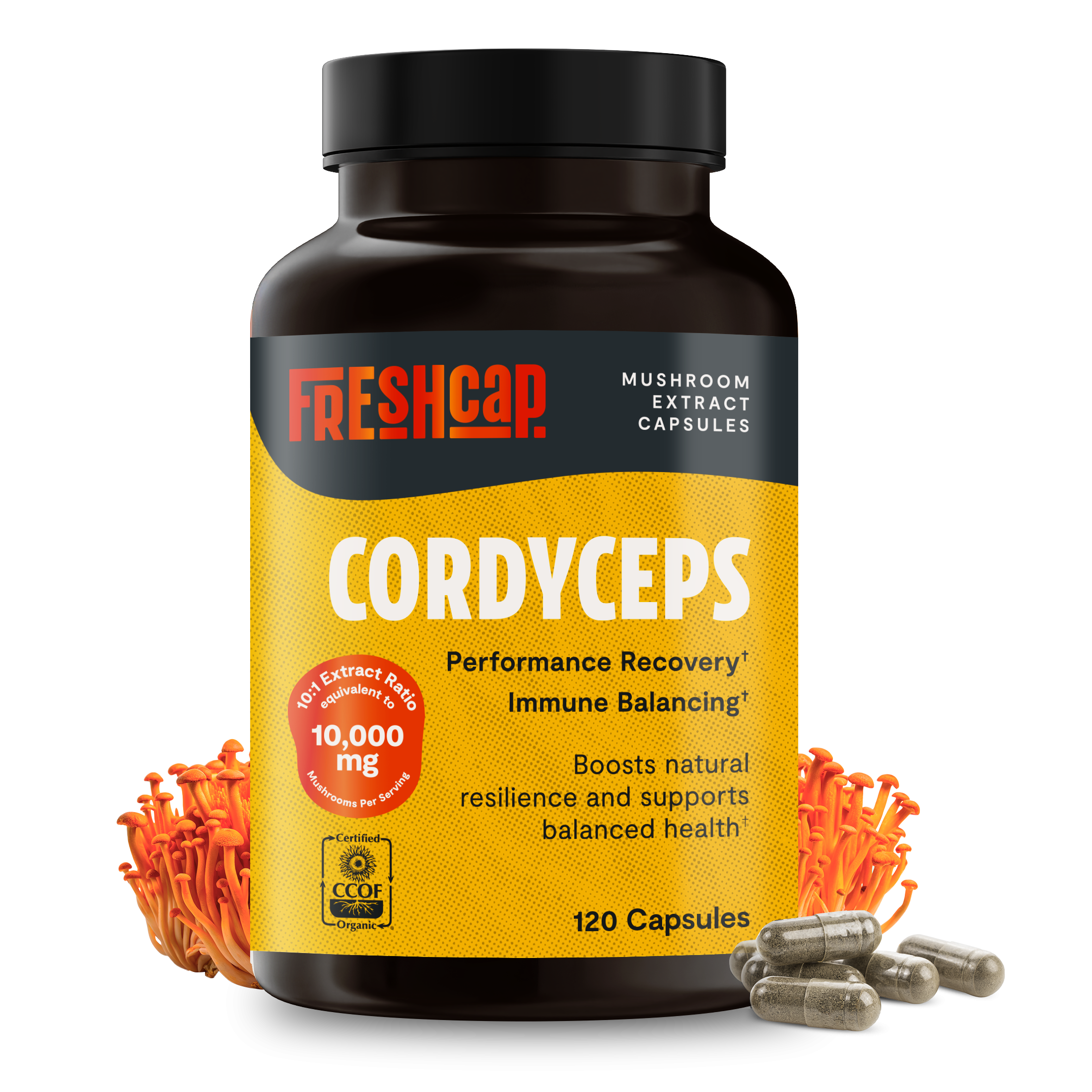 Cordyceps Mushroom Extract Capsules
