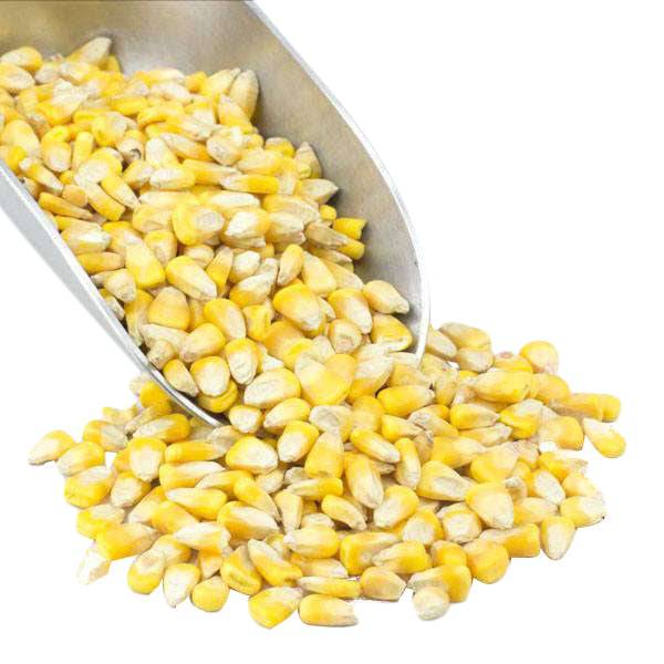 Corn, Whole Yellow, Organic DestGlow
