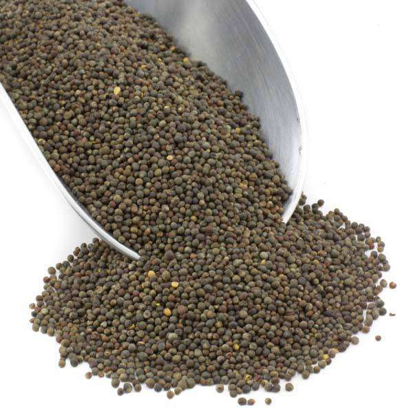 Broccoli Seed, Organic - DestGlow