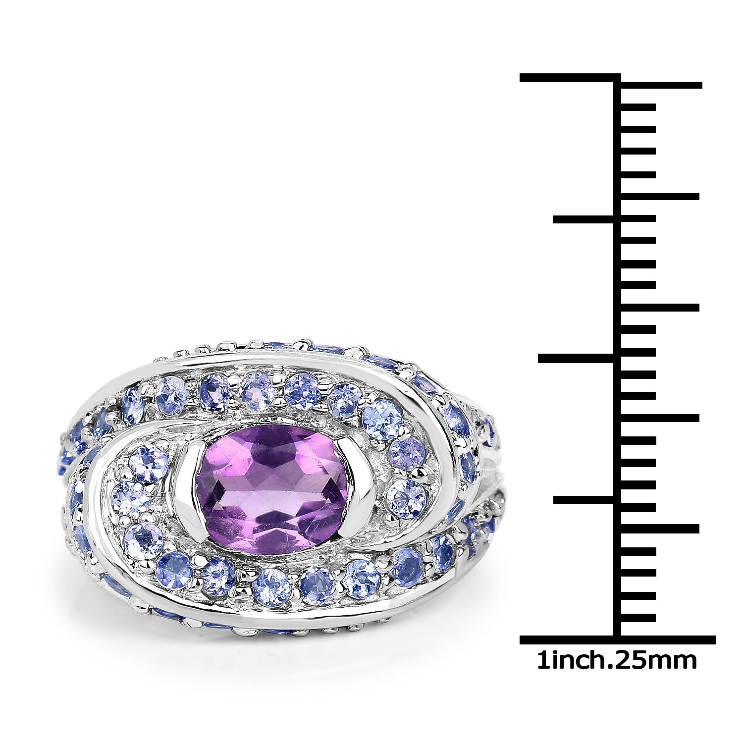 2.76 Carat Genuine Amethyst and Tanzanite .925 Sterling Silver Ring by Bids.com