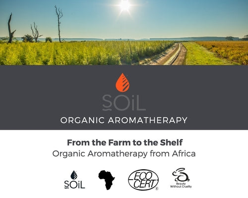 Organic Apricot Kernel Oil - 100% Pure Cold-Pressed Carrier Oil 30ml