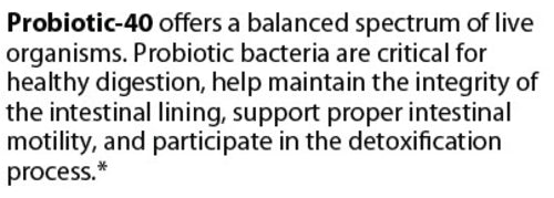 Pure Probiotics Supplement - Digestive Health & Immune Support