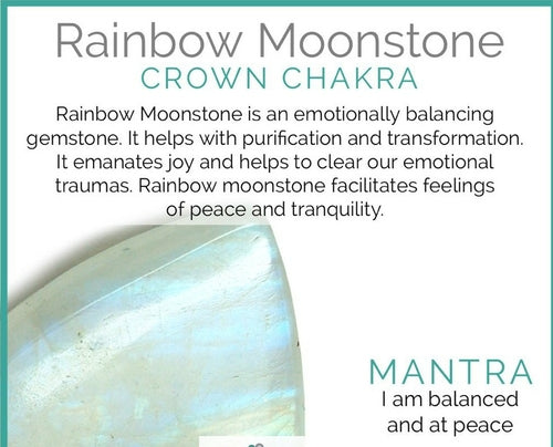 Blue Flash Labradorite & Rainbow Moonstone Stretch Bracelet - 7 Inch
