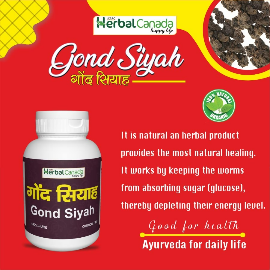 Herbal Canada Gond Siyah Powder