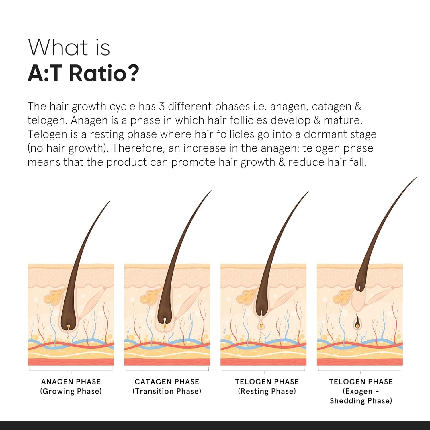 Minimalist Hair Growth Actives 18% Hair Serum by Dista