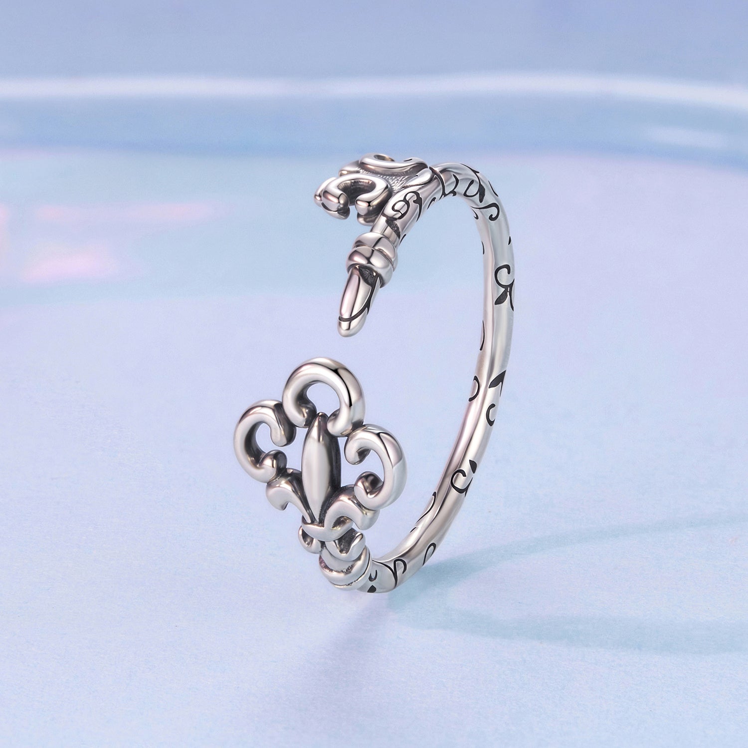 925 Sterling Silver Oxidized 0.14-0.8cm Ring for Women DestGlow