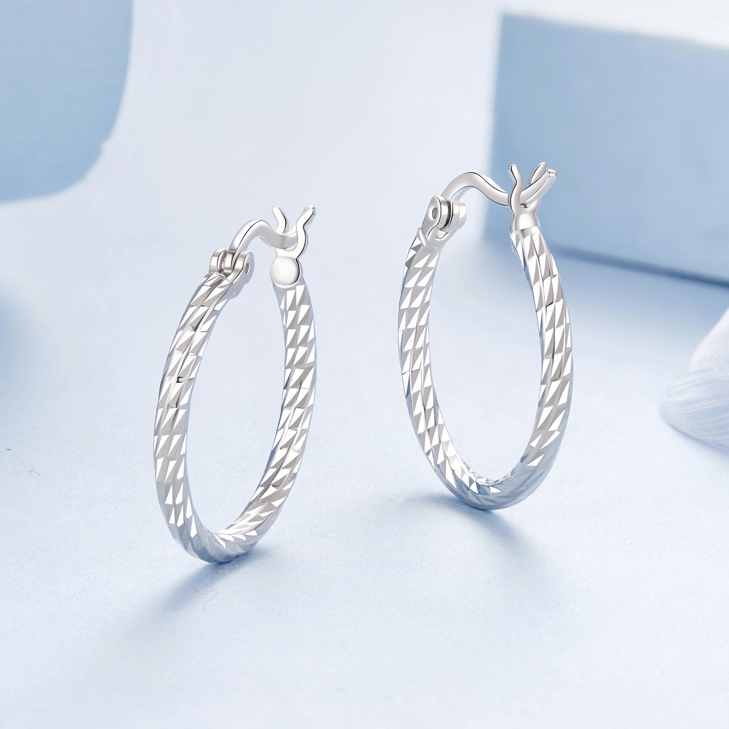 925 Sterling Silver Earrings with White Gold Plating DestGlow