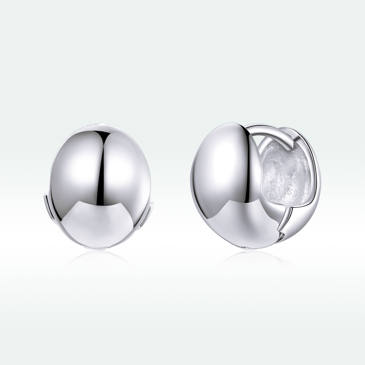 S925 Sterling Silver Platinum Plated Earrings for Women DestGlow