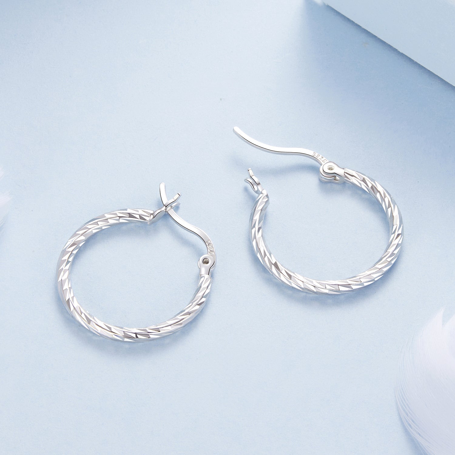 925 Sterling Silver Earrings with White Gold Plating DestGlow