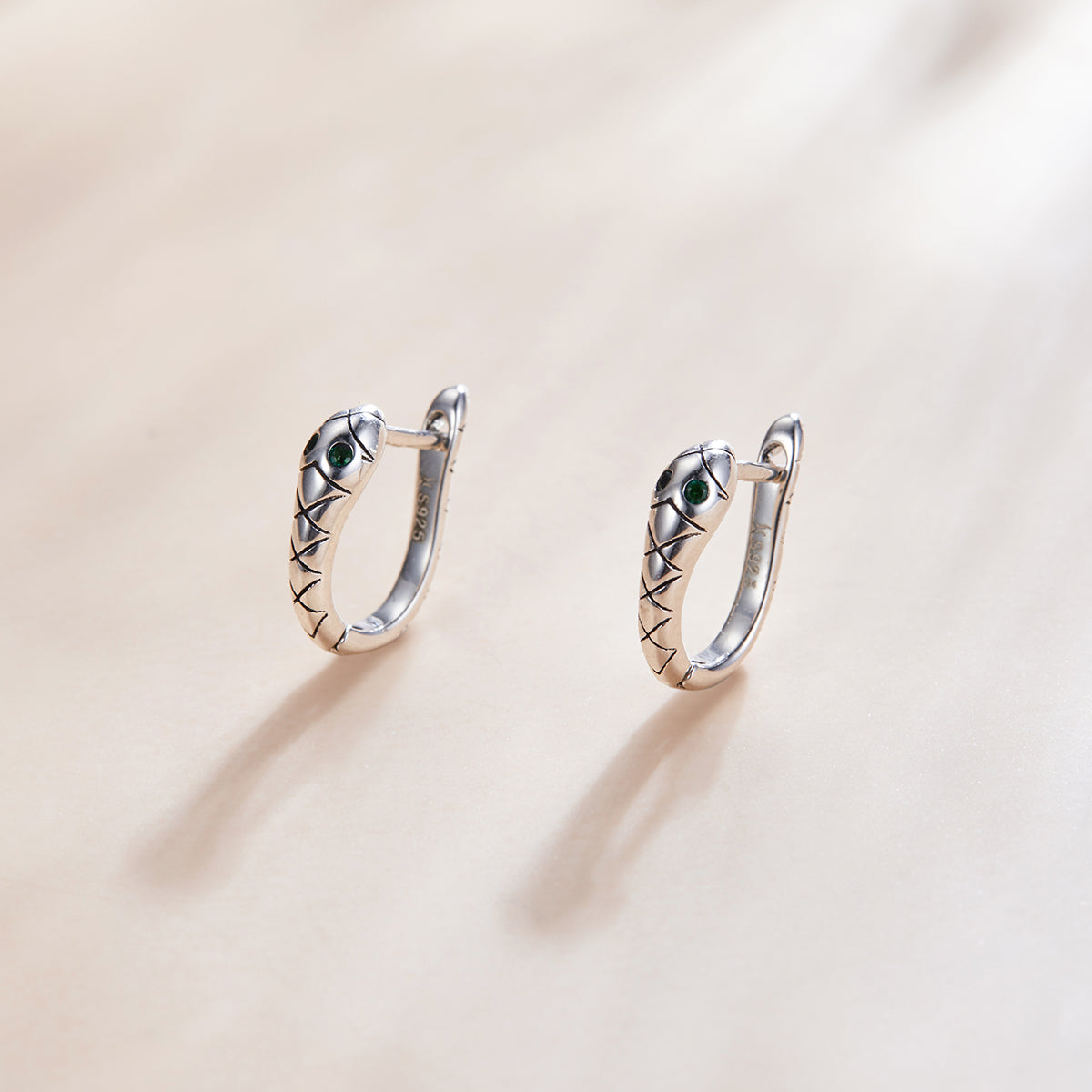 925 Sterling Silver Plated Platinum CZ Earrings for Women DestGlow
