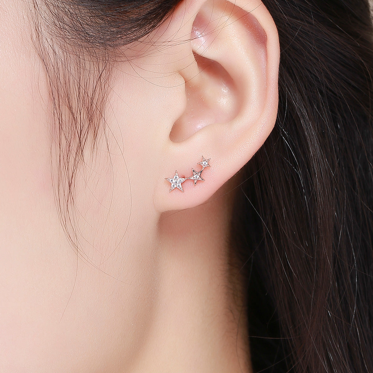 925 Sterling Silver Plated Rose Gold Pavé Setting CZ Earrings for Women DestGlow