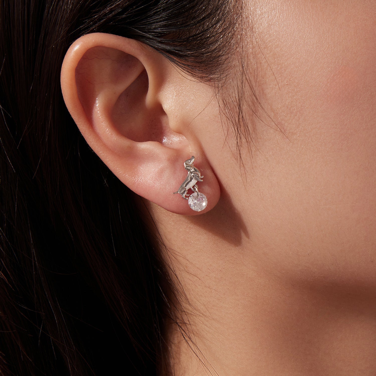925 Sterling Silver White Gold Plated Pavé Setting CZ Earrings for Women DestGlow