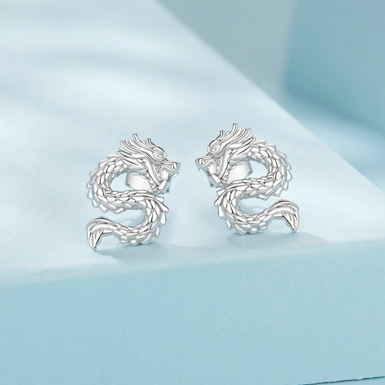 925 Sterling Silver Plated White Gold Earrings DestGlow
