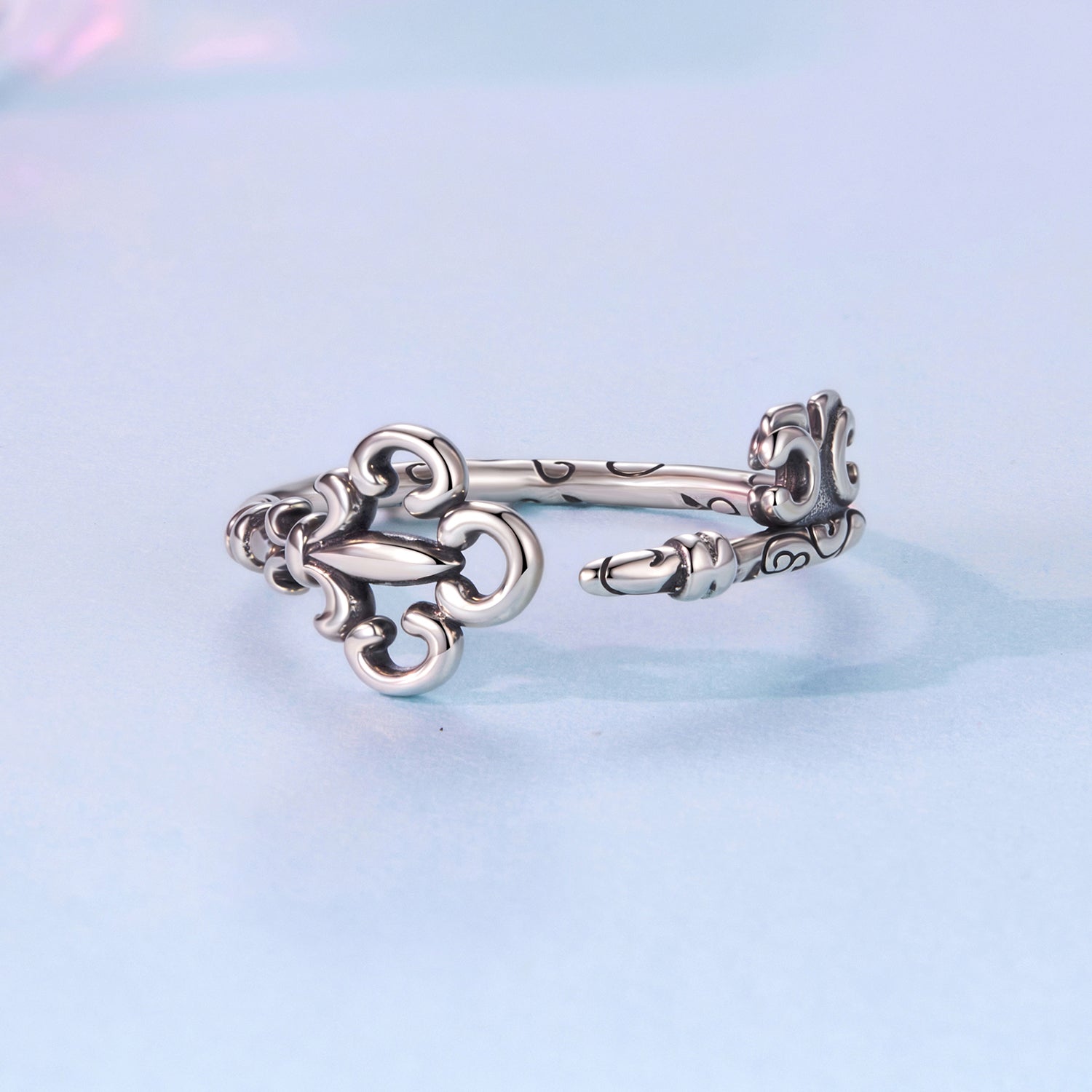 925 Sterling Silver Oxidized 0.14-0.8cm Ring for Women DestGlow