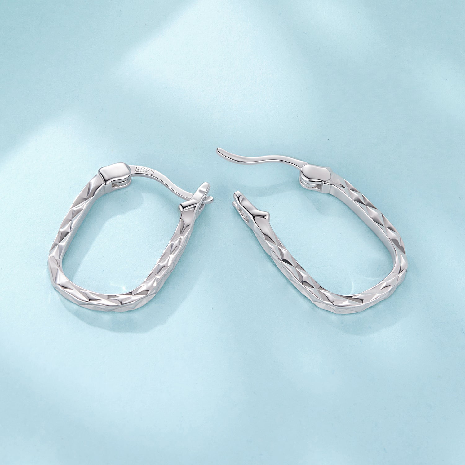 925 Sterling Silver Hoop Earrings for Women DestGlow