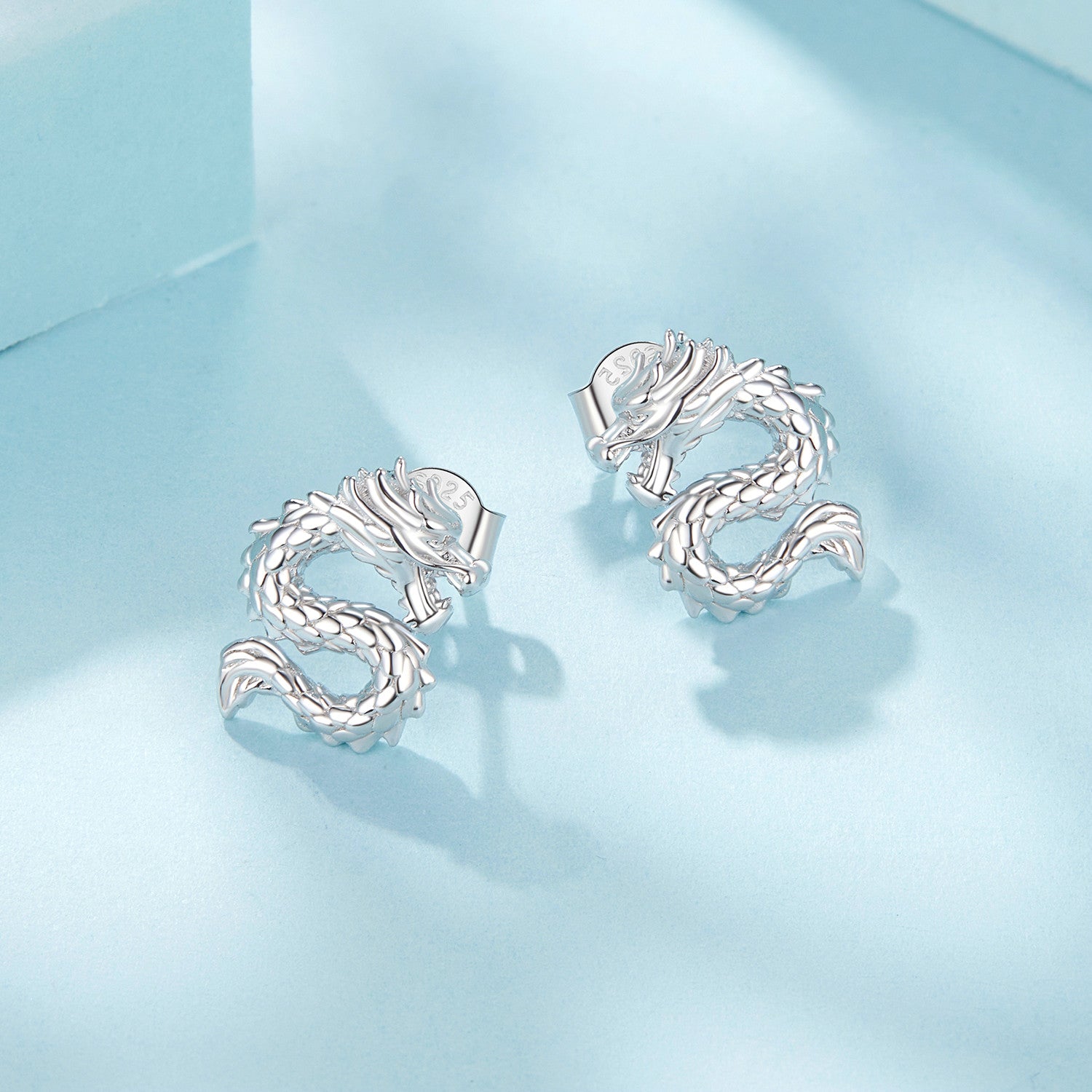 925 Sterling Silver Plated White Gold Earrings DestGlow