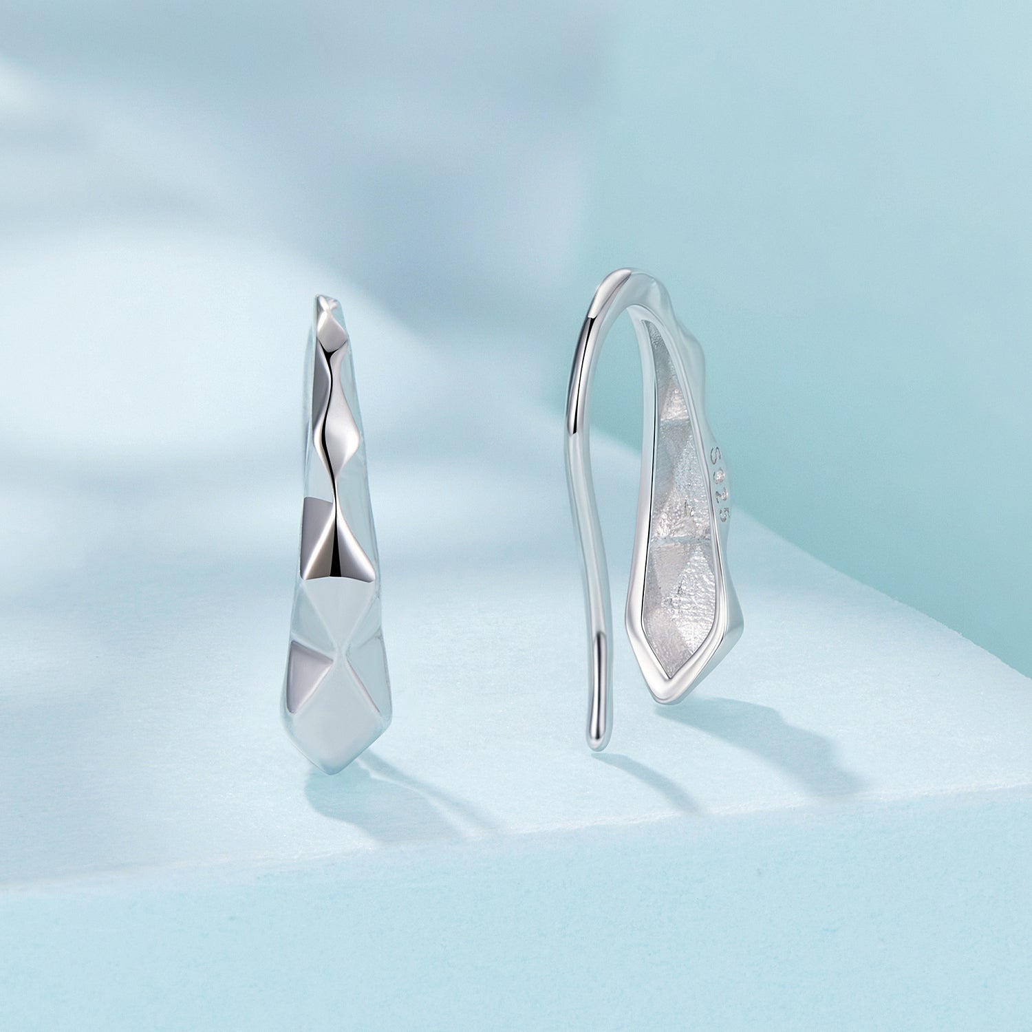 925 Sterling Silver White Gold Plated Earrings DestGlow