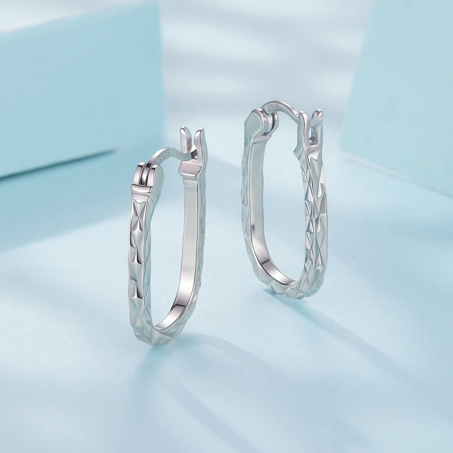 925 Sterling Silver Hoop Earrings for Women DestGlow