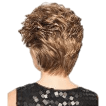 Dream Do by Gabor
