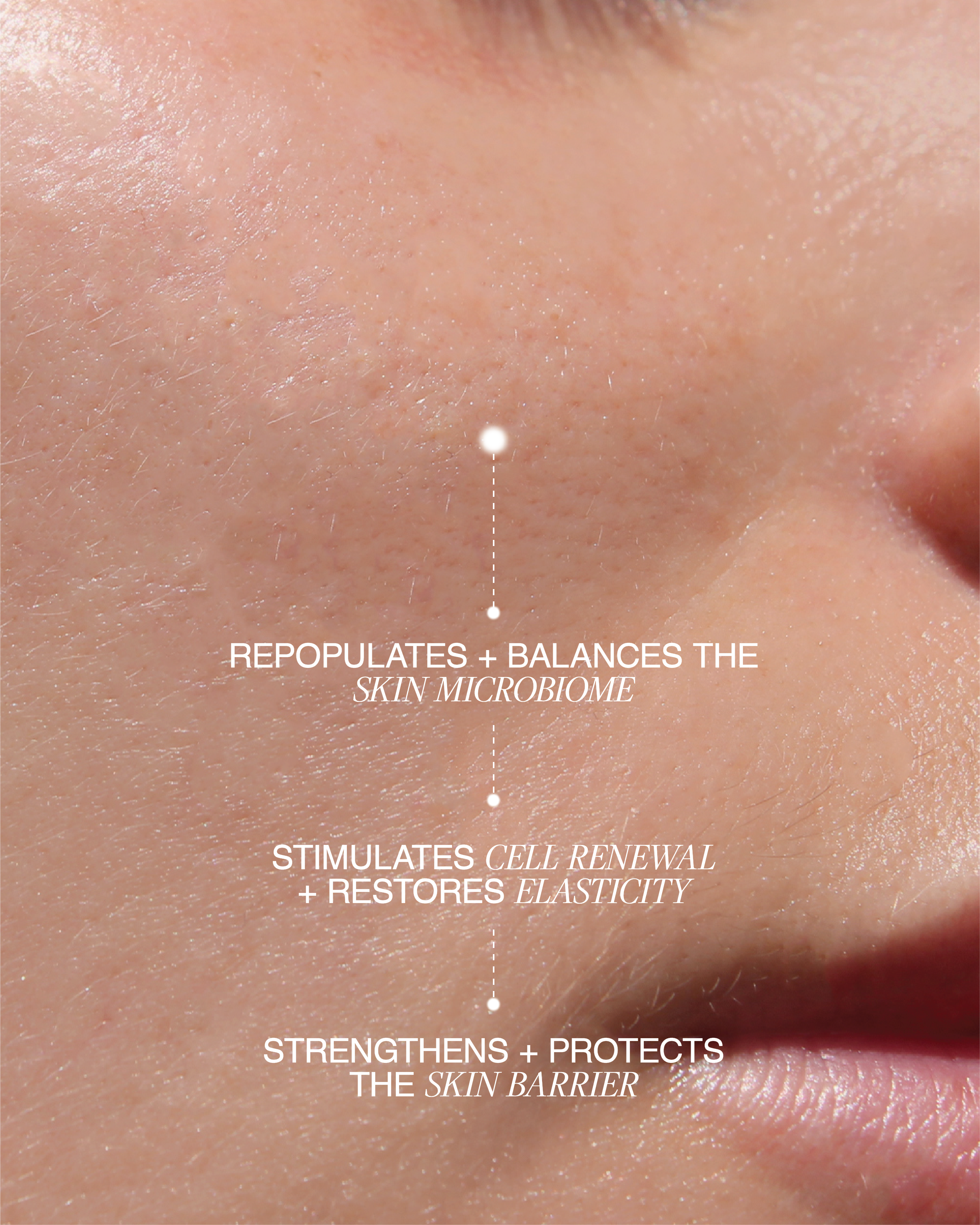 Biome Boost Cream Daily Moisturizer DestGlow