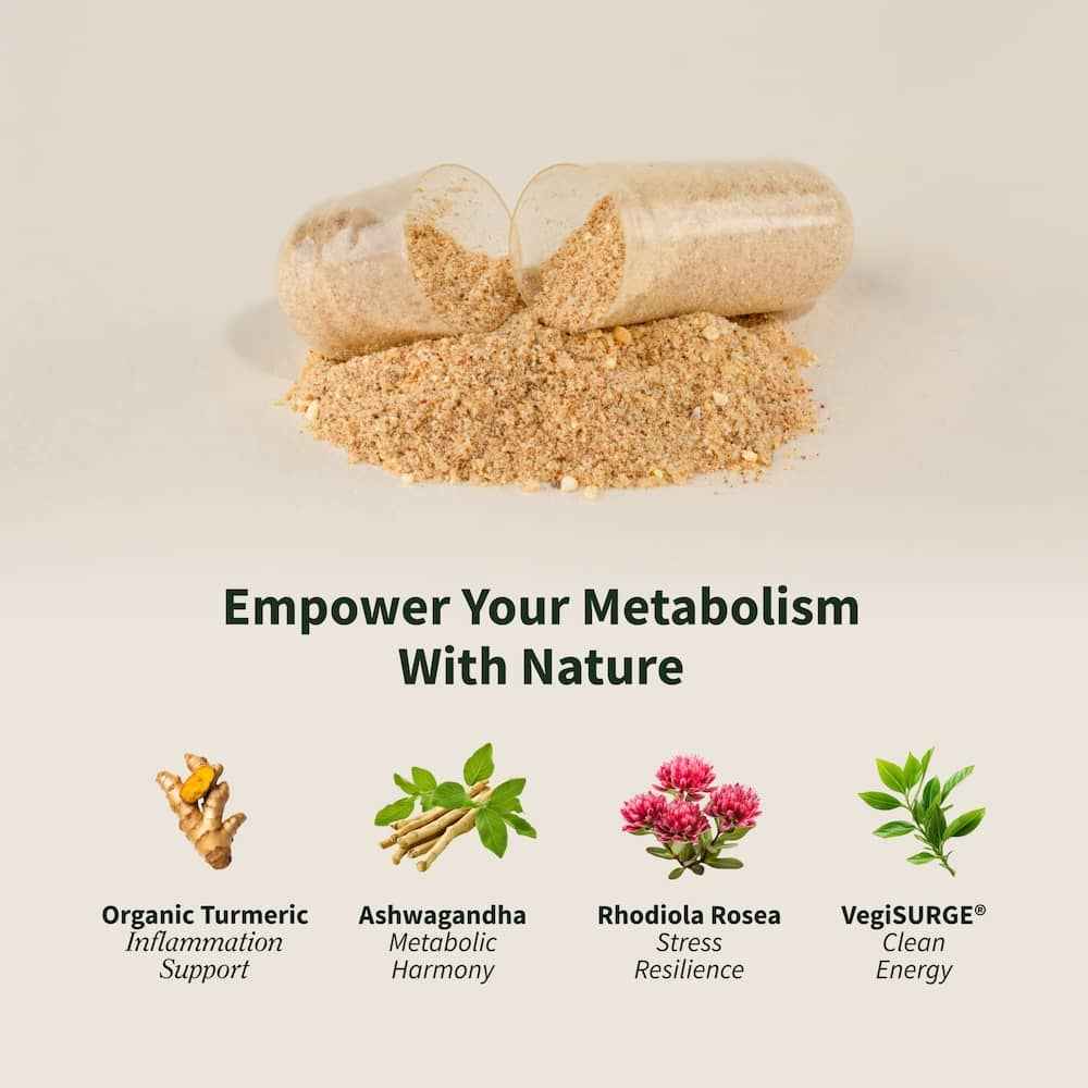 Energy & Metabolism - Buy 2 Get 1 Free