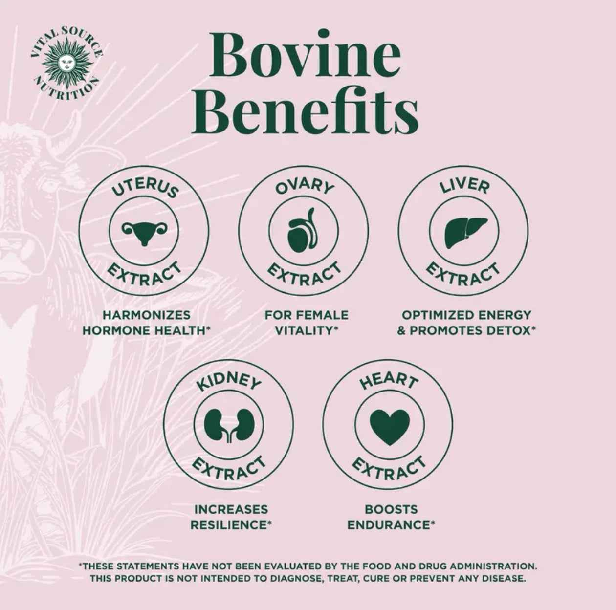 Vital Source Nutrition-BiFi - Primal Health Blend Capsules