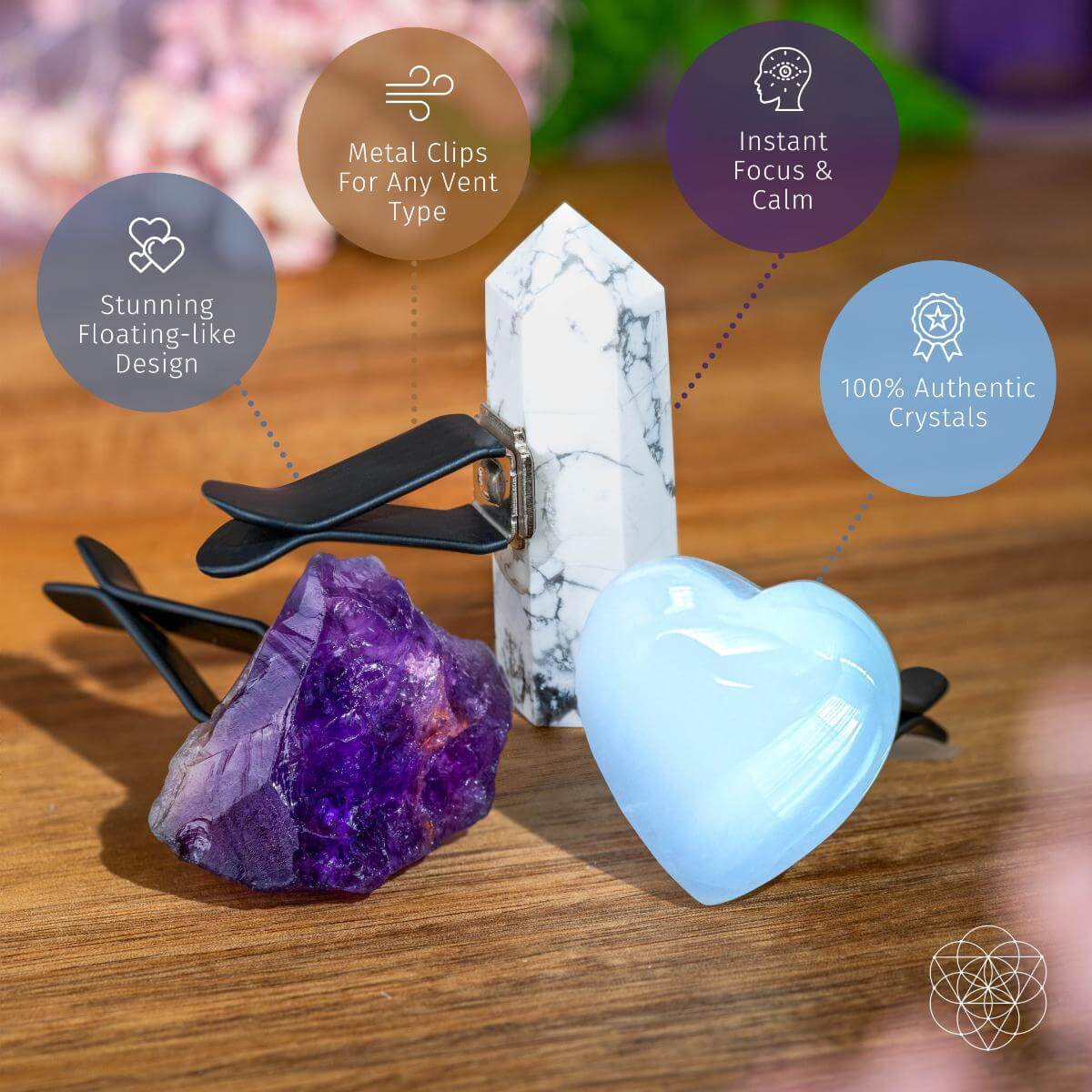 Focused Driver - Crystal Car Kit Of Protection - DestGlow