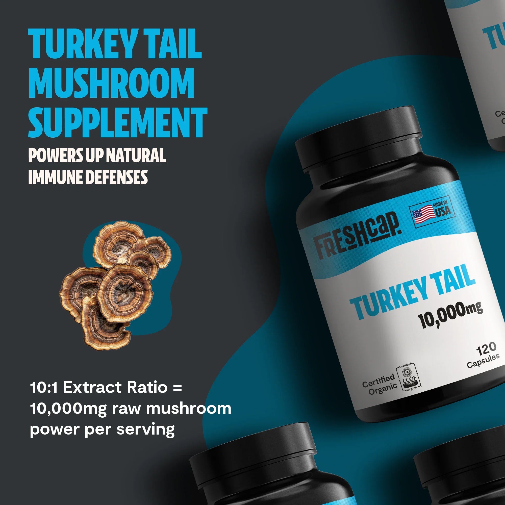 Turkey Tail Mushroom Extract Capsules by FreshCap Mushrooms