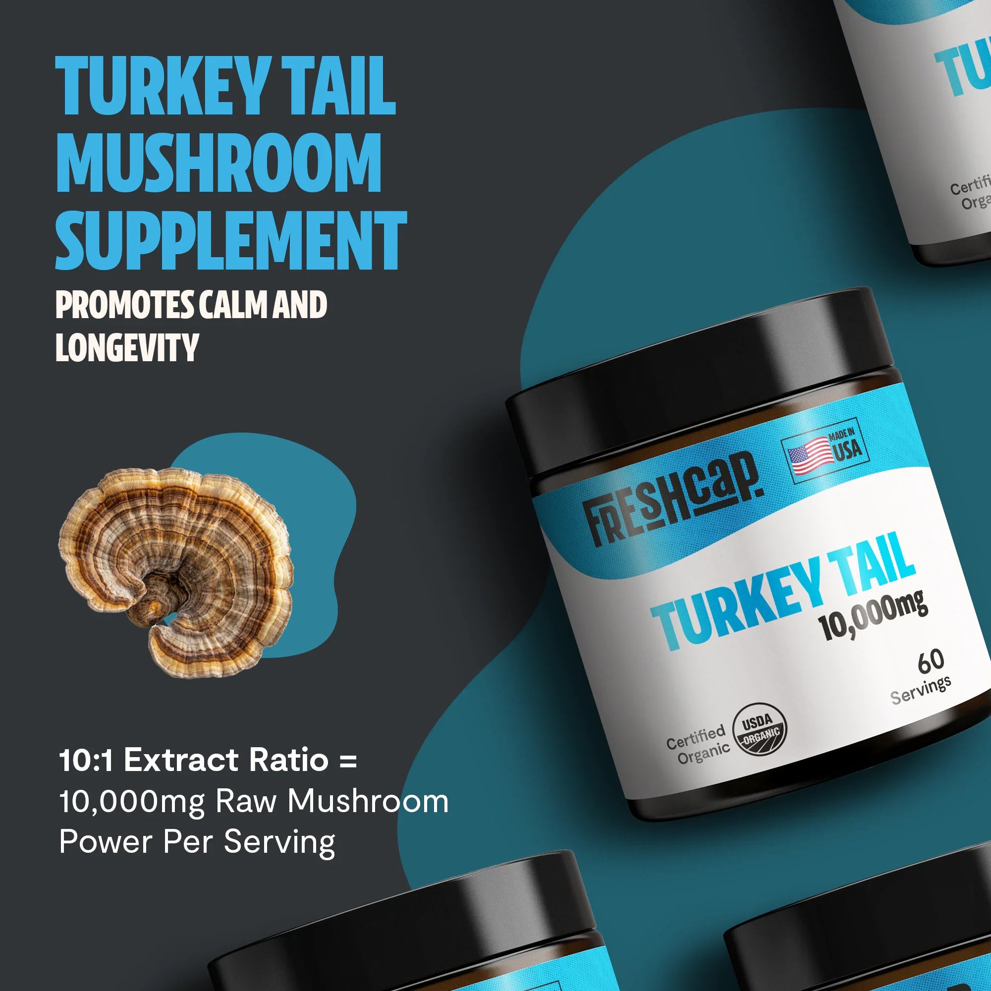 Organic Turkey Tail Mushroom Powder by FreshCap Mushrooms