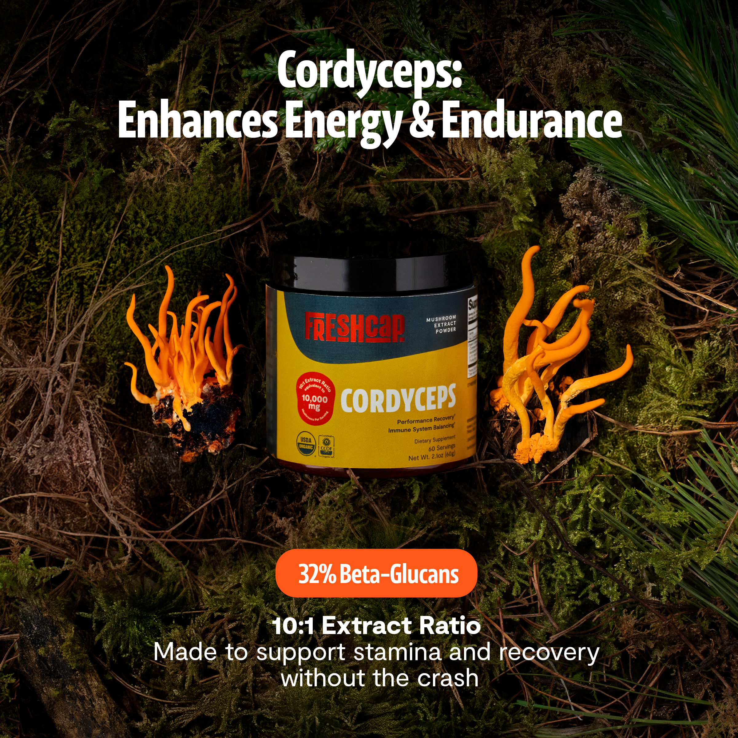 Cordyceps Mushroom Extract Powder DestGlow